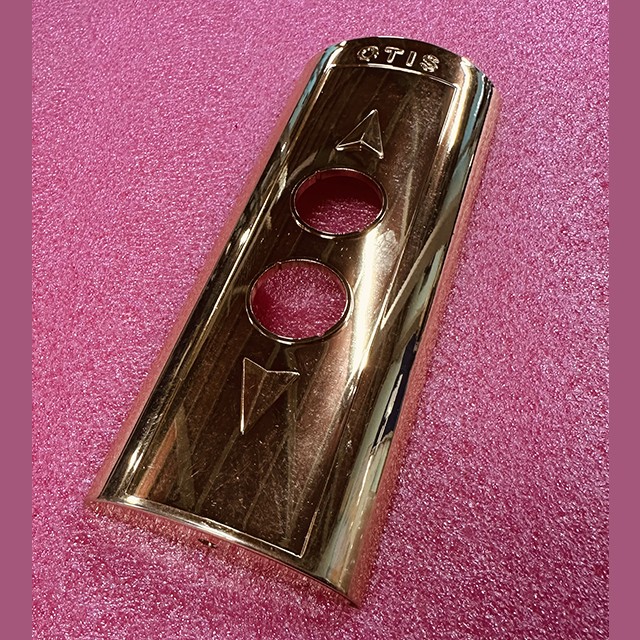 Корпус вызывного поста (пластиковый, латунь polished brass, 2 кнопки со стрелками) FAA147X Otis